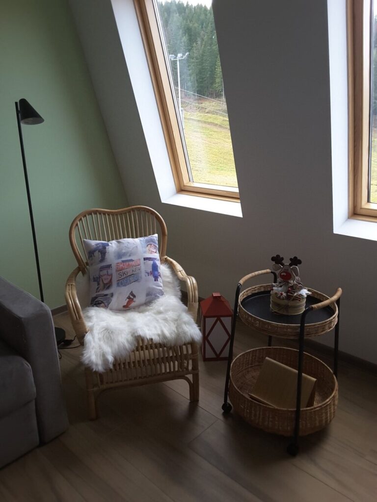 Apartman LeDa - Ski centar Ravna Planina — fotografija 3